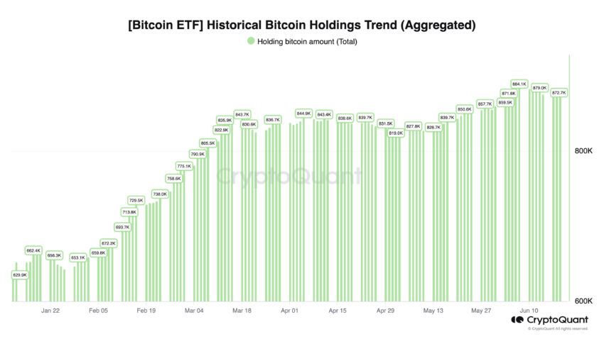 Grafik Kepemilikan ETF Bitcoin. Sumber: CryptoQuant.