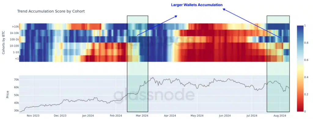 Skor akumulasi Bitcoin berdasarkan kelompok. Sumber: Glassnode.