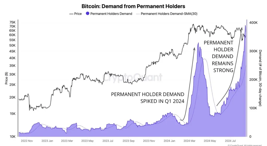 Permintaan Pemegang Tetap Bitcoin. Sumber: CryptoQuant.