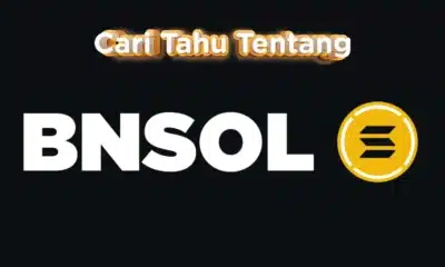 Ilustrasi Binance Staked SOL (BNSOL).