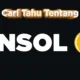 Ilustrasi Binance Staked SOL (BNSOL).