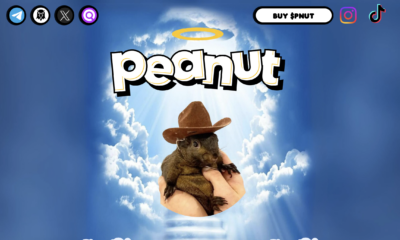 Peanut the Squirrel (PNUT)