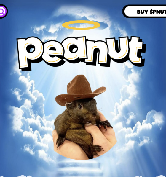 Peanut the Squirrel (PNUT)