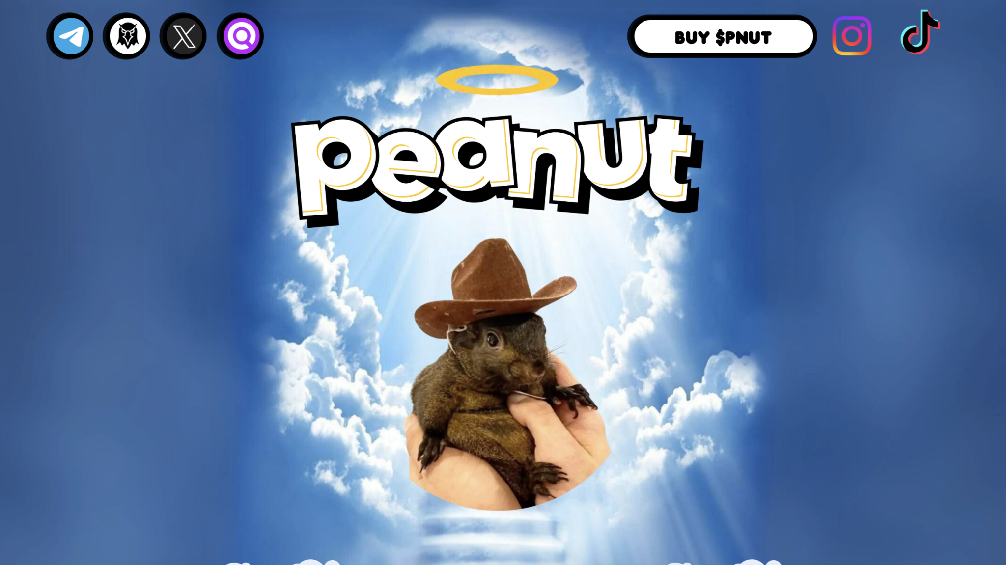 Peanut the Squirrel (PNUT)