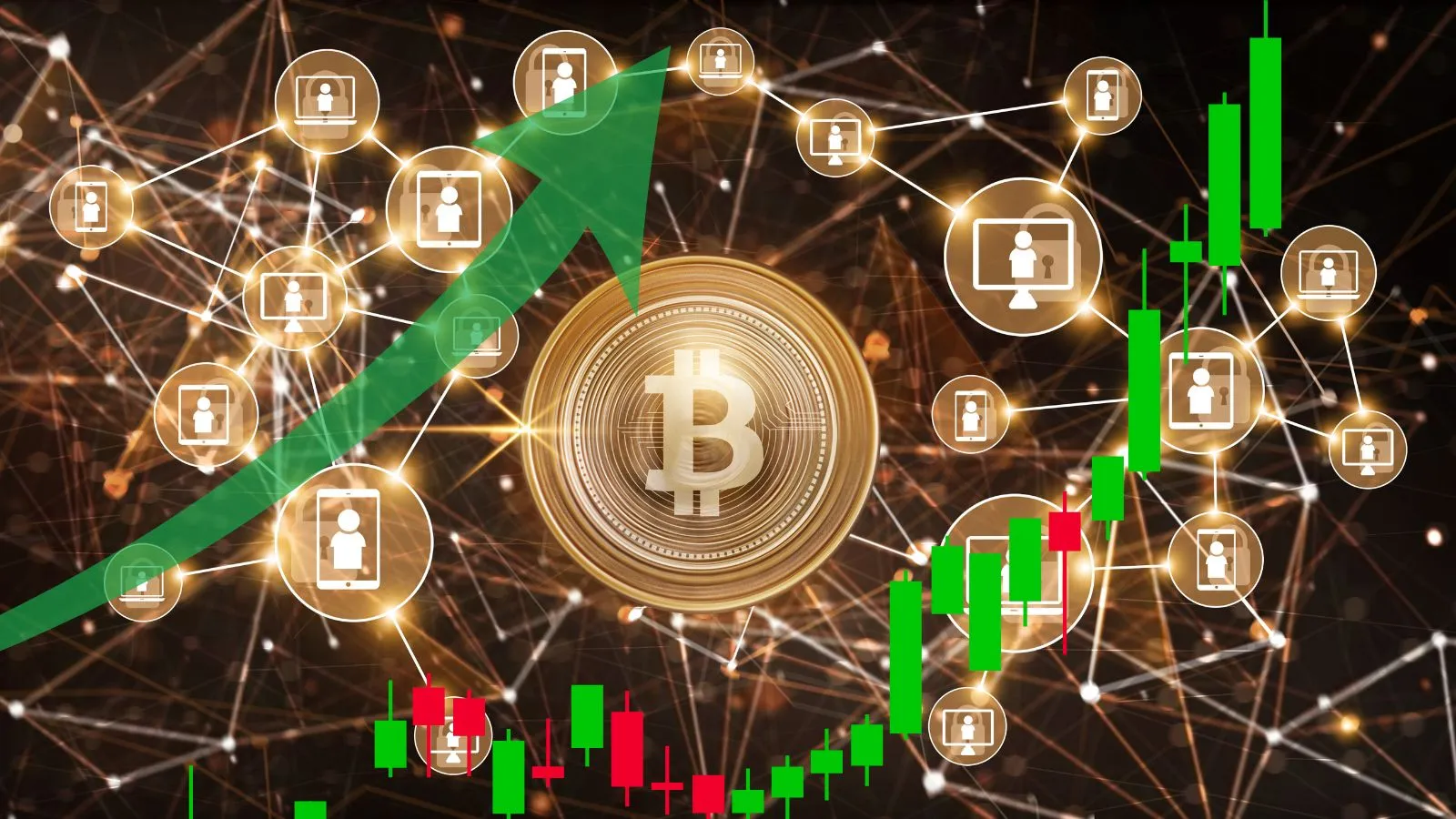 harga btc hari ini 12 november 2024