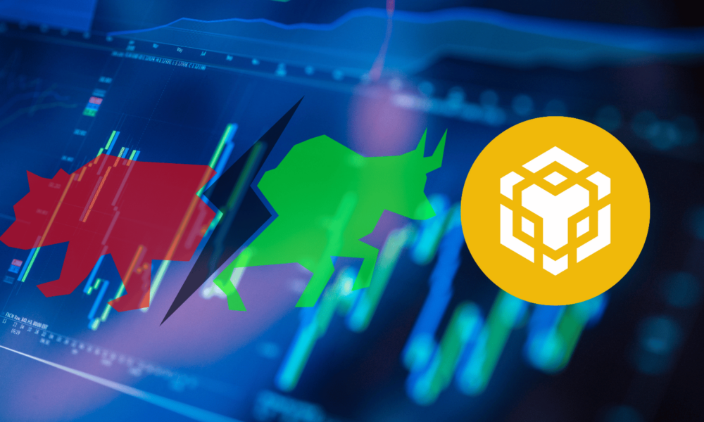 Binance Coin (BNB).