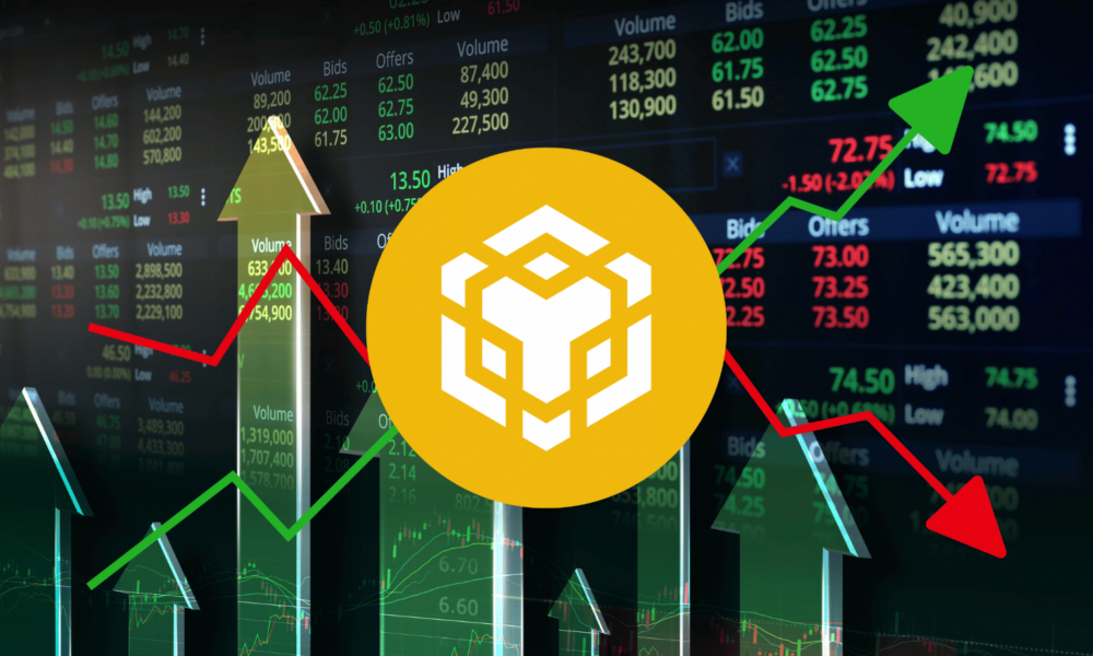 binance coin (BNB)