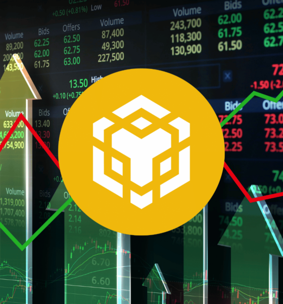 binance coin (BNB)