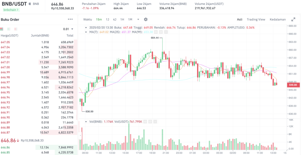 Pergerakan harga BNB (BNB/USDT). Sumber: Tokocrypto. 