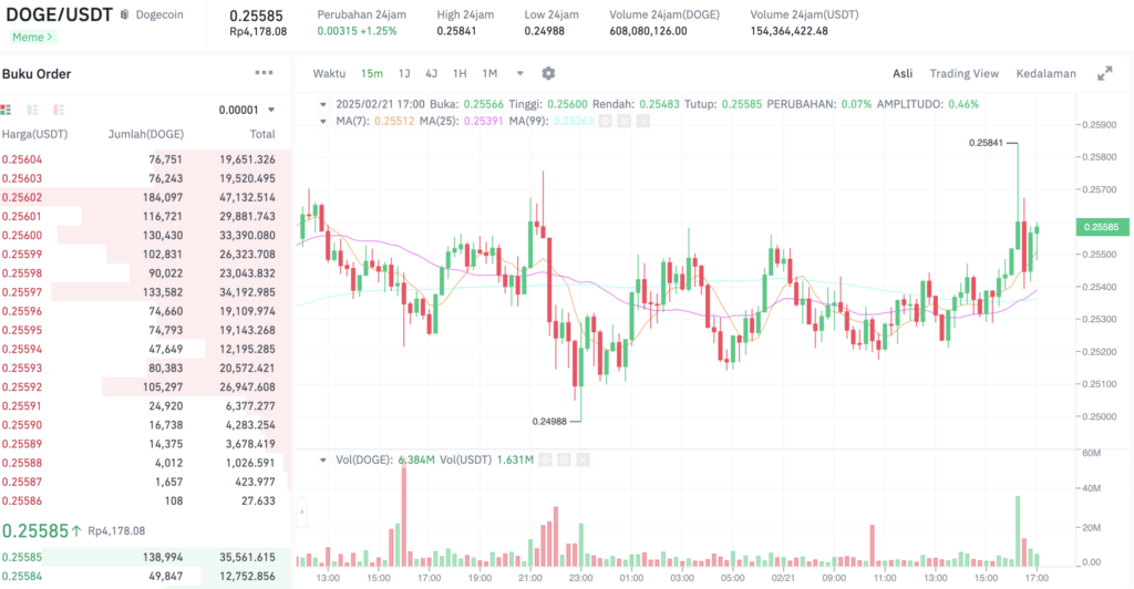 Pergerakan harga Dogecoin (DOGE/USDT) pada Jumat, 21 Februari 2025. Sumber: Tokocrypto. 