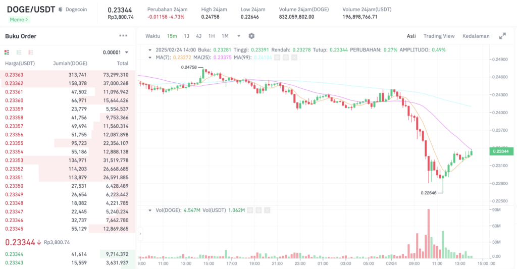 Pergerakan harga Dogecoin (DOGE/USDT) pada Senin, 24 Februari 2025. Sumber: Tokocrypto. 