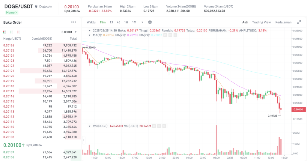 Pergerakan harga Dogecoin(DOGE/USDT) pada Selasa, 25 Februari 2025. Sumber: Tokocrypto. 