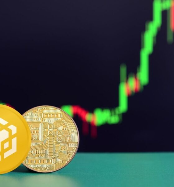 Binance coin (BNB)