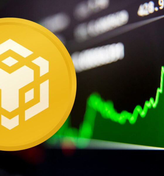 Binance coin (BNB)