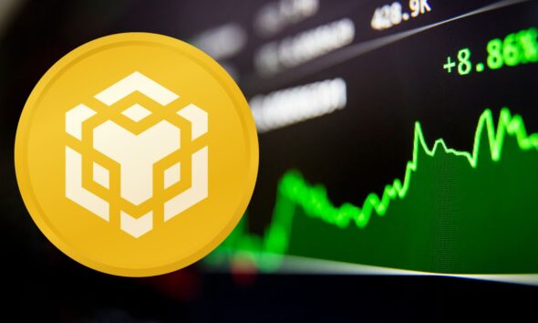 Binance coin (BNB)