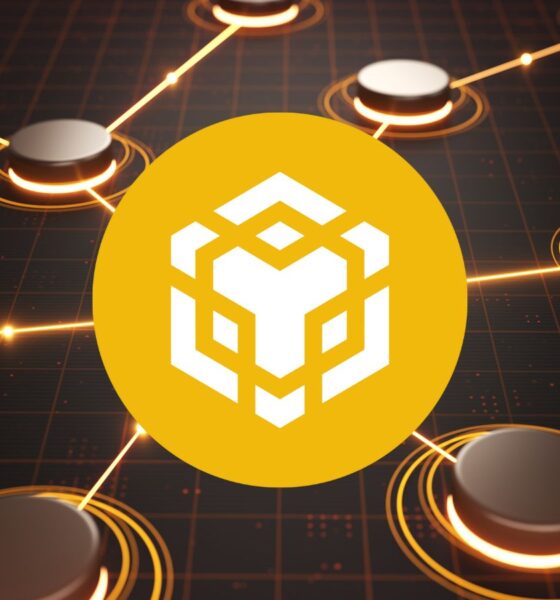Binance coin (BNB)