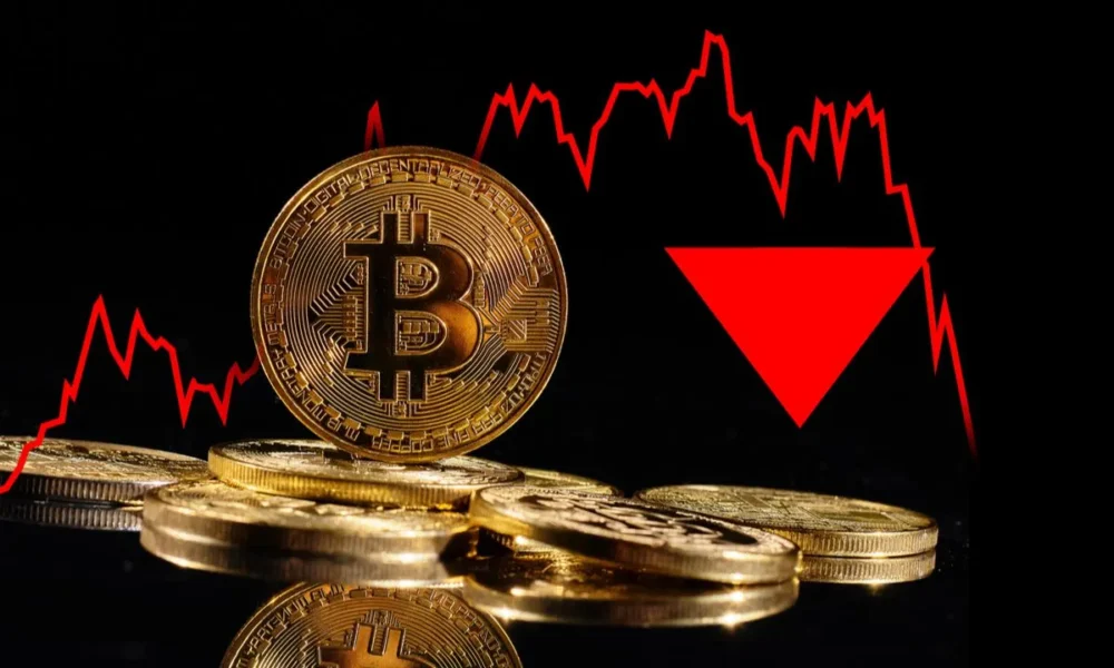 Harga Bitcoin Turun: Whale Hengkang, Sinyal Bahaya?