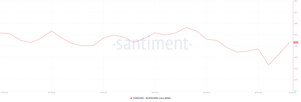 Jumlah alamat dengan jumlah ADA antara 1.000.000 dan 10.000.000. Sumber: Santiment.