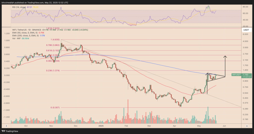 Grafik harga harian WIF/USDT. Sumber: TradingView