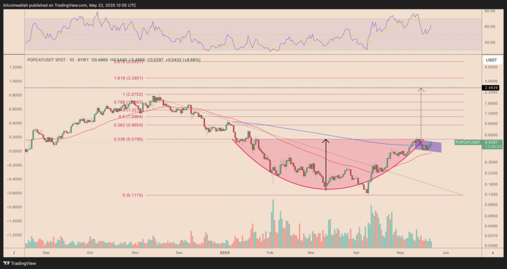 Grafik harga harian POPCAT/USDT. Sumber: TradingView.