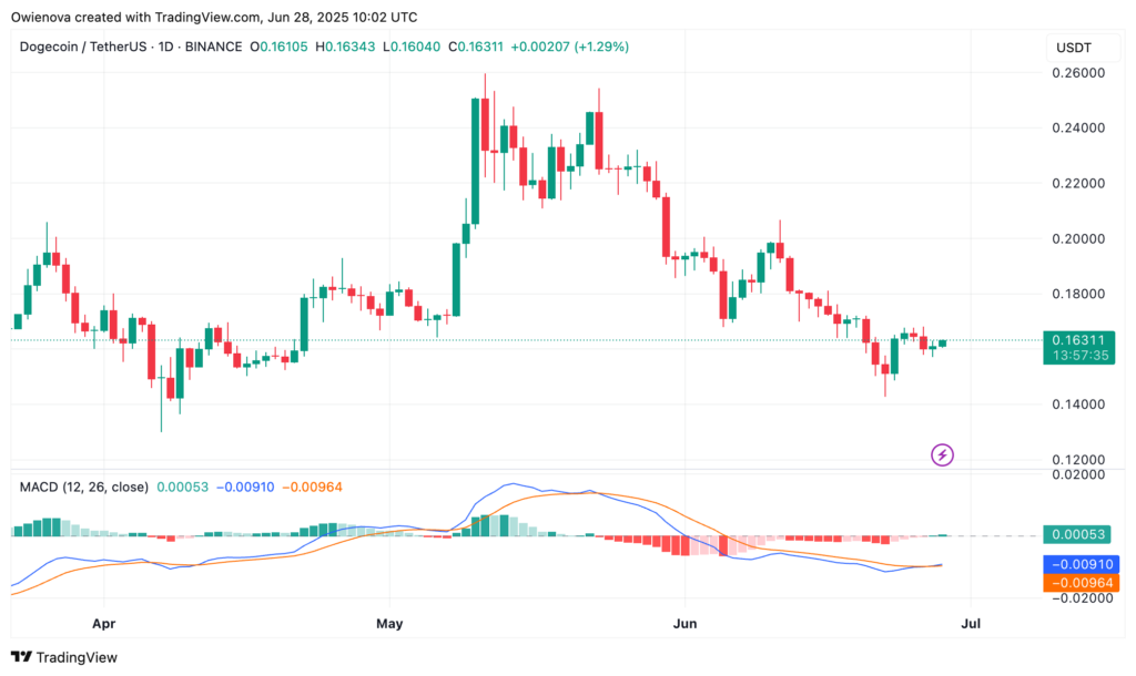 Pergerakan harga Dogecoin (DOGE/USDT) pada Minggu, 29 Juni 2025. Sumber: Tokocrypto.