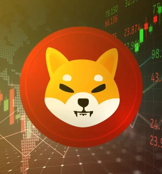 Shiba Inu