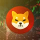Shiba Inu
