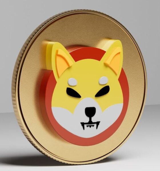 Shiba Inu (SHIB)