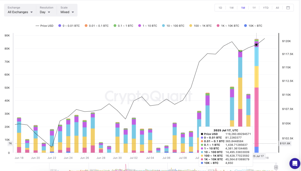 Harga Bitcoin dan arus masuk whale. Sumber: CryptoQuant.