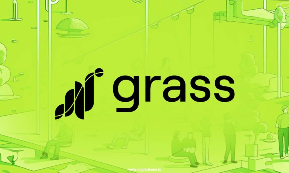 Grass