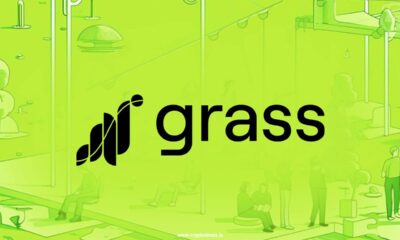 Grass