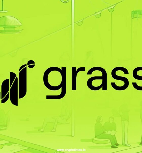 Grass