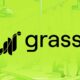 Grass