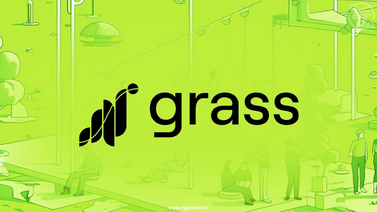Grass