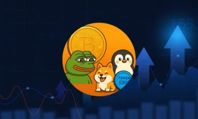 meme coin
