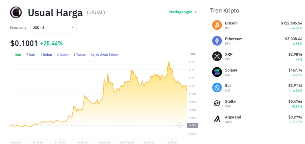 Pergerakan harga Usual (USUAL/USDT) pada Senin, 14 Juli 2025. Sumber: Tokocrypto.