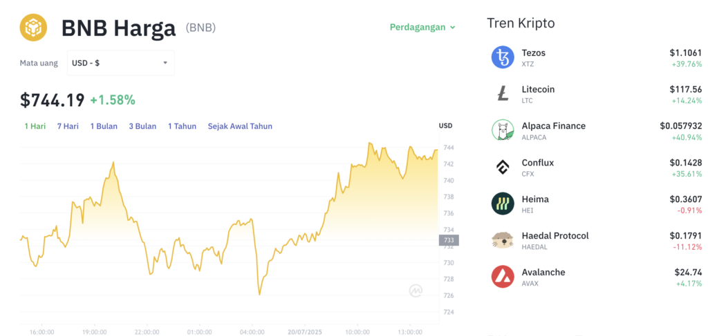 Pergerakan harga Binance Coin (BNB/USDT) pada Minggu, 20 Juli 2025. Sumber: Tokocrypto.