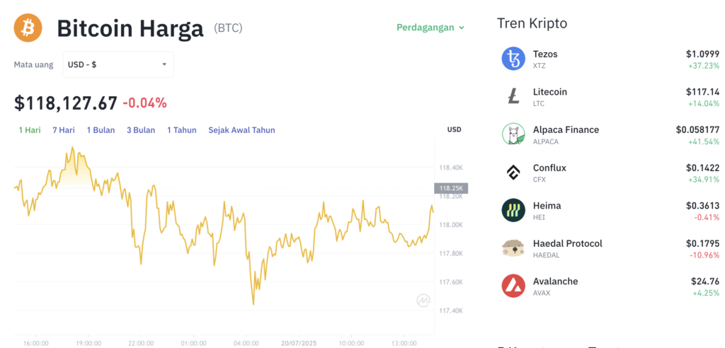 Pergerakan harga Bitcoin (BTC/USDT) pada Minggu, 20 Juli 2025. Sumber: Tokocrypto.