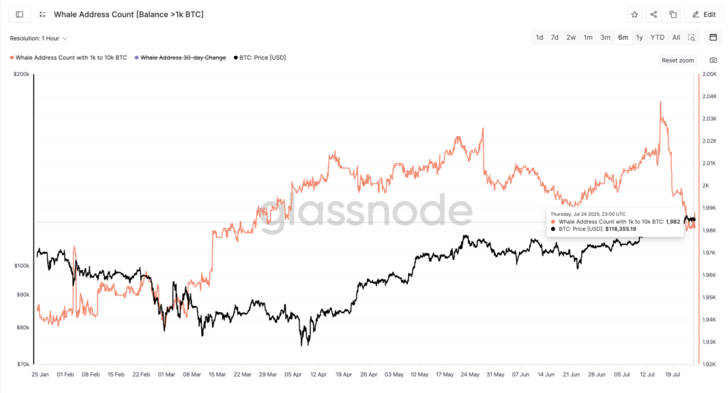 Harga Bitcoin dan jumlah alamat paus: Glassnode.