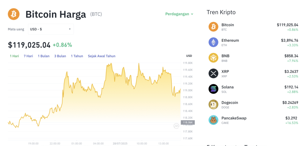 Pergerakan harga Bitcoin (BTC/USDT) pada Senin, 28 Juli 2025. Sumber: Tokocrypto.