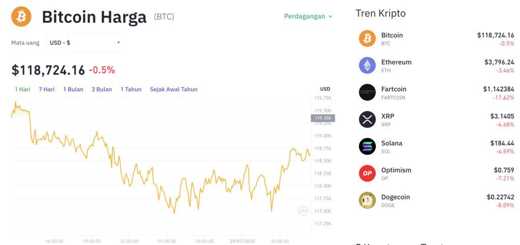 Pergerakan harga Bitcoin (BTC/USDT) pada Selasa, 29 Juli 2025. Sumber: Tokocrypto.