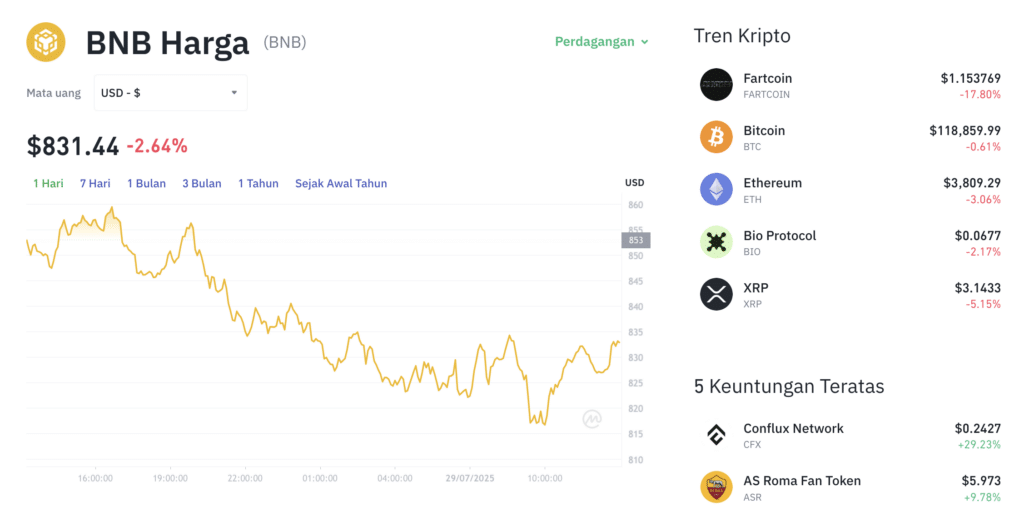 Pergerakan harga Binance Coin (BNB/USDT) pada Selasa, 29 Juli 2025. Sumber: Tokocrypto.