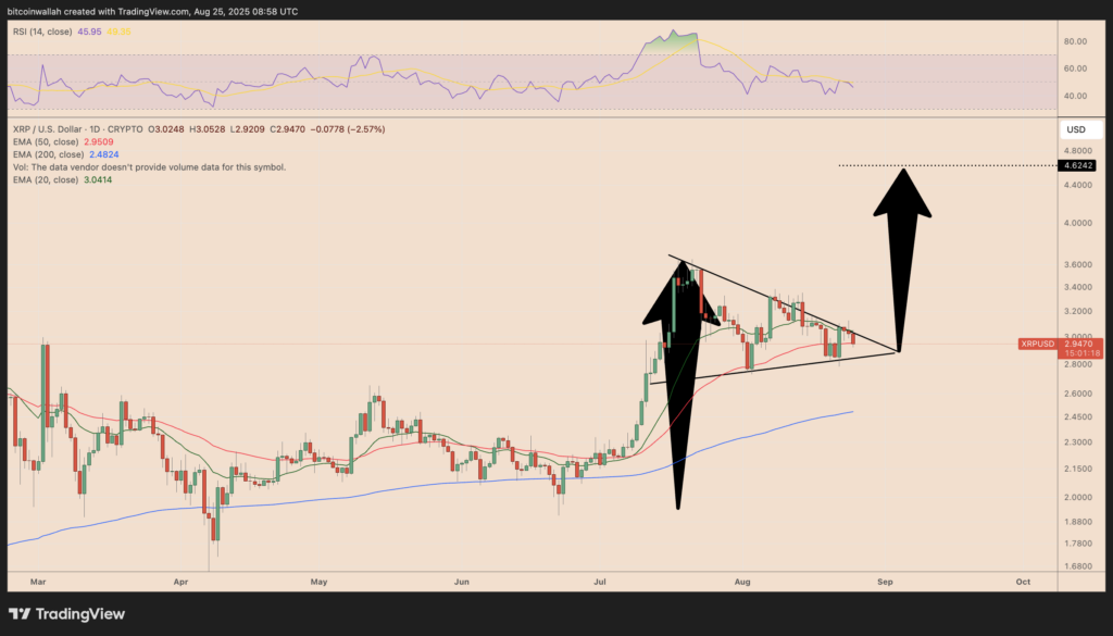 Grafik harga harian XRP/USD. Sumber: TradingView.