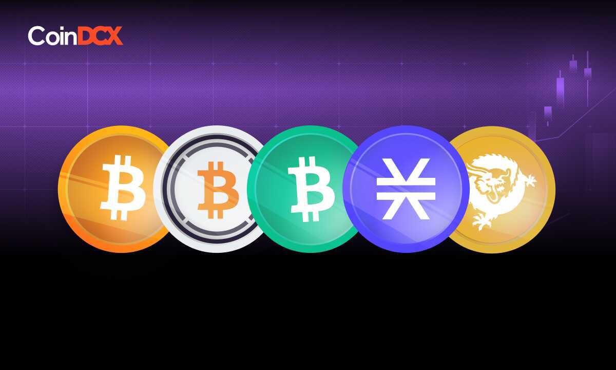 ekosistem bitcoin