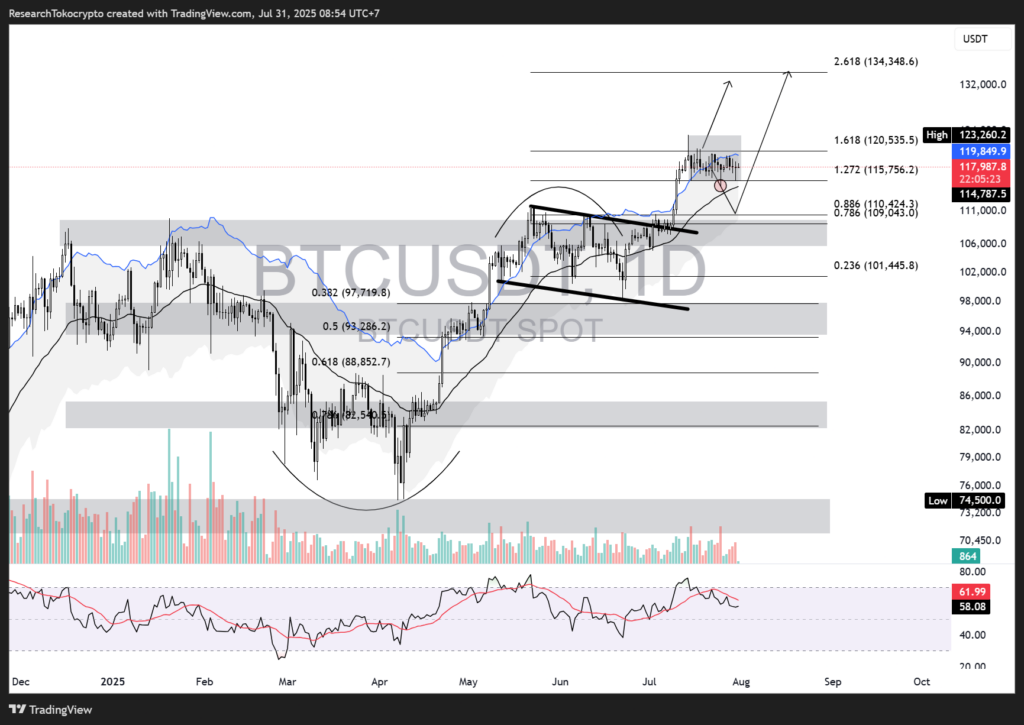 Daily Chart Bitcoin 31 July 2025. Sumber: TradingView.