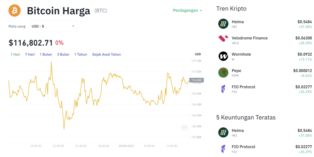 Pergerakan harga Bitcoin (BTC/USDT) pada Sabtu, 9 Agustus 2025. Sumber: Tokocrypto.