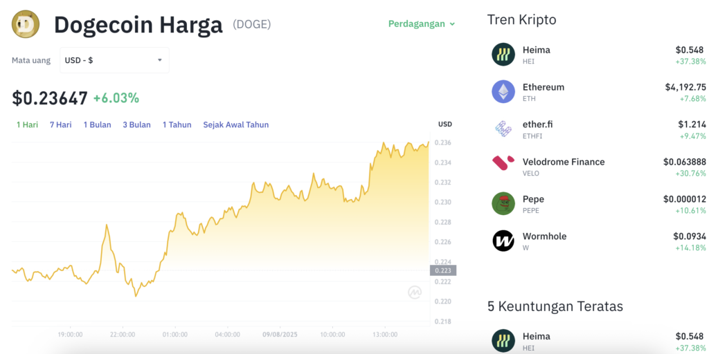 Pergerakan harga Dogecoin (DOGE/USDT) pada Sabtu, 9 Agustus 2025. Sumber: Tokocrypto.
