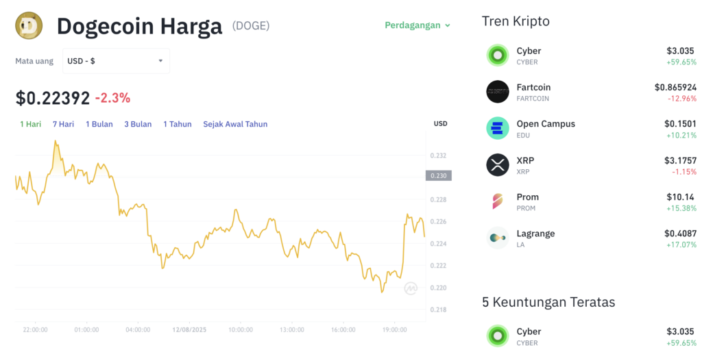 Pergerakan harga Dogecoin (DOGE/USDT) pada Selasa, 12 Agustus 2025. Sumber: Tokocrypto.