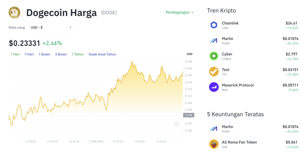 Pergerakan harga Dogecoin (DOGE/USDT) pada Minggu, 17 Agustus 2025. Sumber: Tokocrypto.