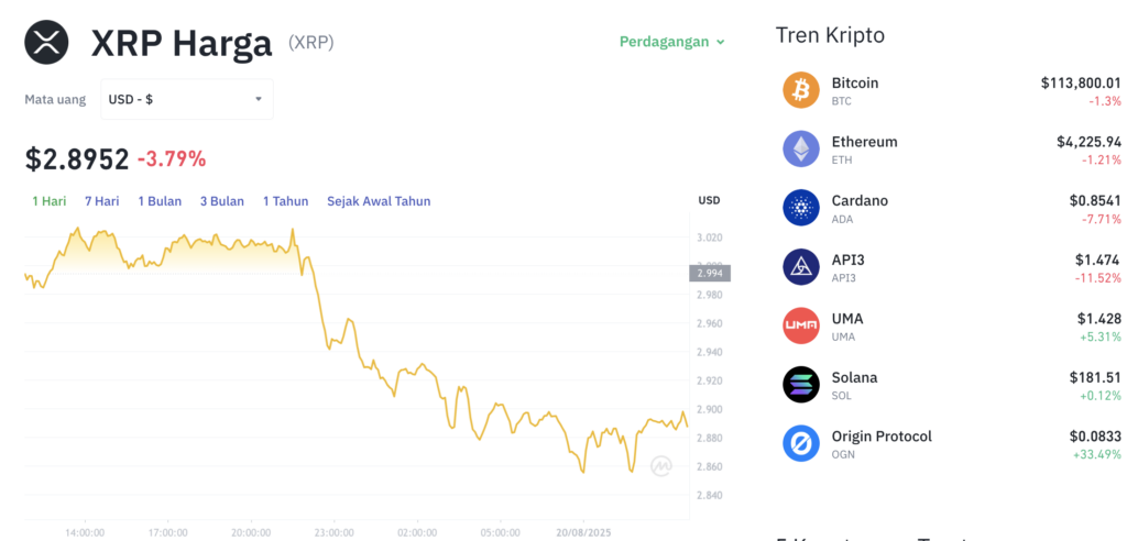 Pergerakan harga XRP (XRP/USDT) pada Rabu, 20 Agustus 2025. Sumber: Tokocrypto.